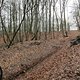 IMG 0565