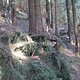 IMG 0975Large 1272301291