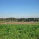 IMG 1260