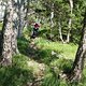 RIMG0142