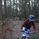 IMG 1232