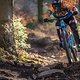 Foto Chris Spath Mondraker Foxy-1002