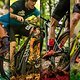 Welches Cross Country Bike ist der Favorit der Redaktion?