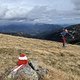 IMG 5233