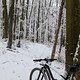 Winterpokal-Aktivität