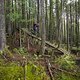 BC Squamish - Cortes Planks