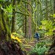 BC Squamish - Trestle Trail