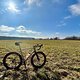 Gegenwind des Todes