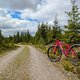 2017 Trek Stache