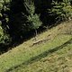 Schön Sonnig
