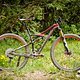 Specialized Camber S-Works 2014-Details-2