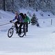 IMG 2736