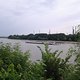 Rhein