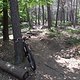 SDC16092 kl