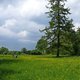 Sommerrevier0024