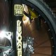 Boxxer Decals gelb