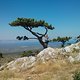Kurz vorm höchsten Punkt der Insel Hvar, Kroatien - 632m
