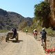traktor and cyclists
