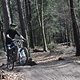 DSC 0018
