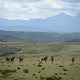 2018 Stage 1 Health Cape Pioneer Trek presented by Biogen captured by Marike Cronje for www.zcmc.co