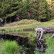 Auf einem anspruchsvollen Trail im Wald geht es zurück nach Disentis