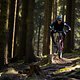Schwalbe Clik Valve Specialized Stumpjumper 2025 PSturm-6