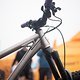 Sea Otter Classic Tag1-94