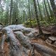 BC Squamish - Entrails