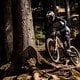 Er wird morgen als Letztes auf die Strecke gehen: Wird Jackson Goldstone den World Cup-Hattrick feiern können? Man darf gespannt sein!