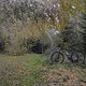 Herrenrunde 5