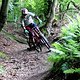 IMG 0772
