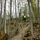 130509 Ritterschlag04