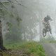 fog sucks
