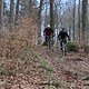 IMG 5238
