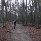IMG 1261