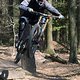DSC00339