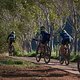 Mariske Strauss pulls Jennie Stenerhag of team Silverback up a climb in Tokara Esate during stage 6 of the 2019 Absa Cape Epic Mountain Bike stage race from the University of Stellenbosch Sports Fields in Stellenbosch, South Africa on the 23rd March