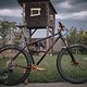 SingleBe - NoisyBee - Custom 29er