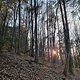 1000101678
