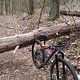 Winterpokal-Aktivität