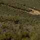 Sally Bigham und Esther Süss - Foto von Greg Beadle-Cape Epic-SPORTZPICS
