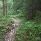 IMG 2864