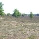 Westruper Heide 4