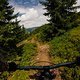 Hacklberg Trail 6