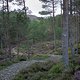 Schottland 2017 Gairngorms National Park