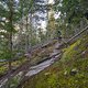 BC Sea to Sky - PHD