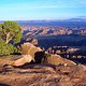 Moab #1