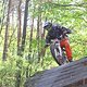IMG 4778