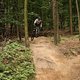 IMG 0124