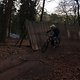 IMG 1291